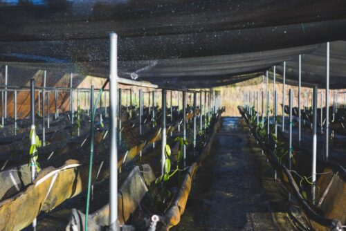 HVC Growing Shacks