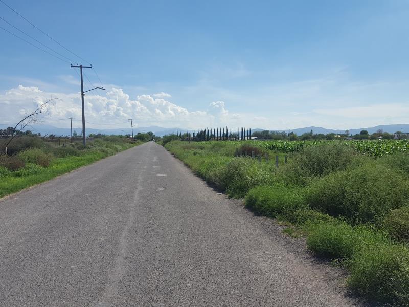 Terreno en Venta en El Olivo