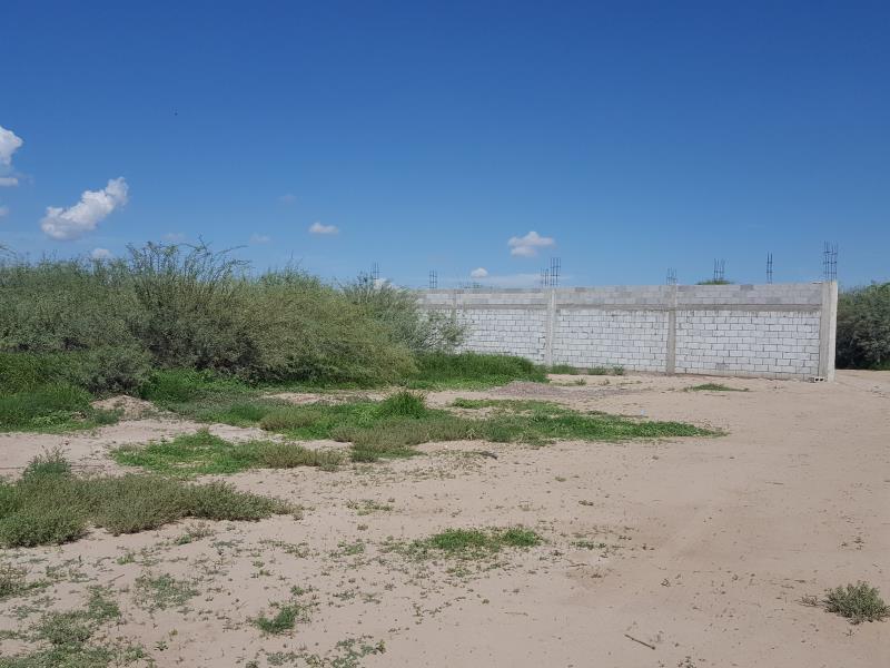 Terreno en Venta en El Olivo
