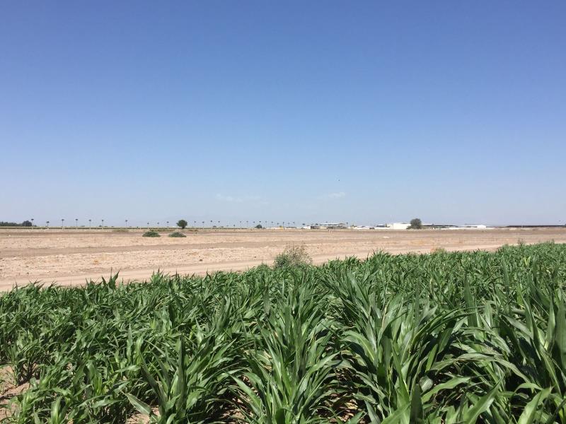 Terreno en Venta en Escuadrón Doscientos Uno