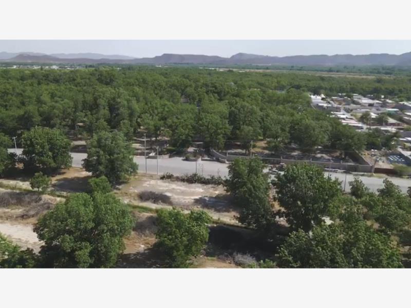 Terreno en Venta en Parras de la Fuente Centro