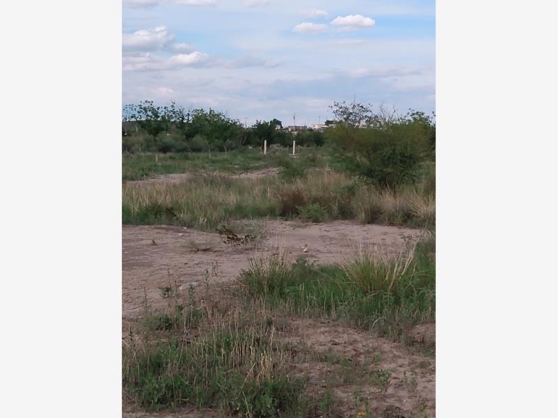 Finca/Rancho en Venta en Seis de Enero