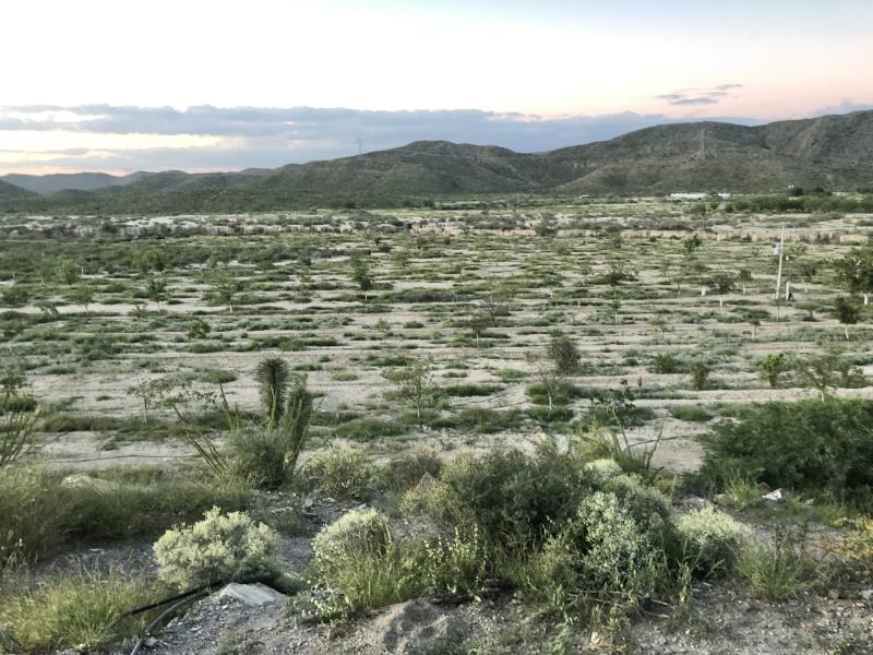 Finca/Rancho en Venta en Ejido Parras