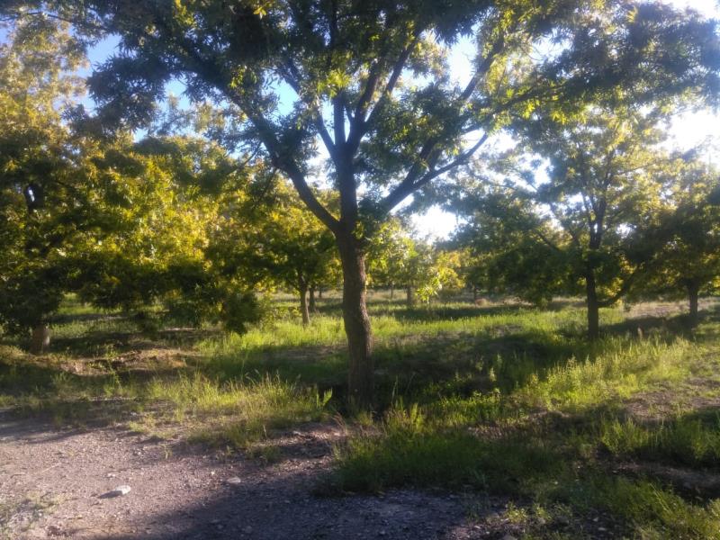 Finca/Rancho en Venta en Agua de los Padres