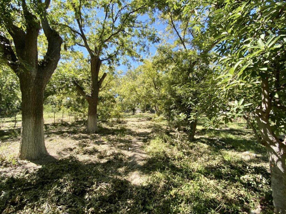 Terreno en Venta en Parras de la Fuente Centro