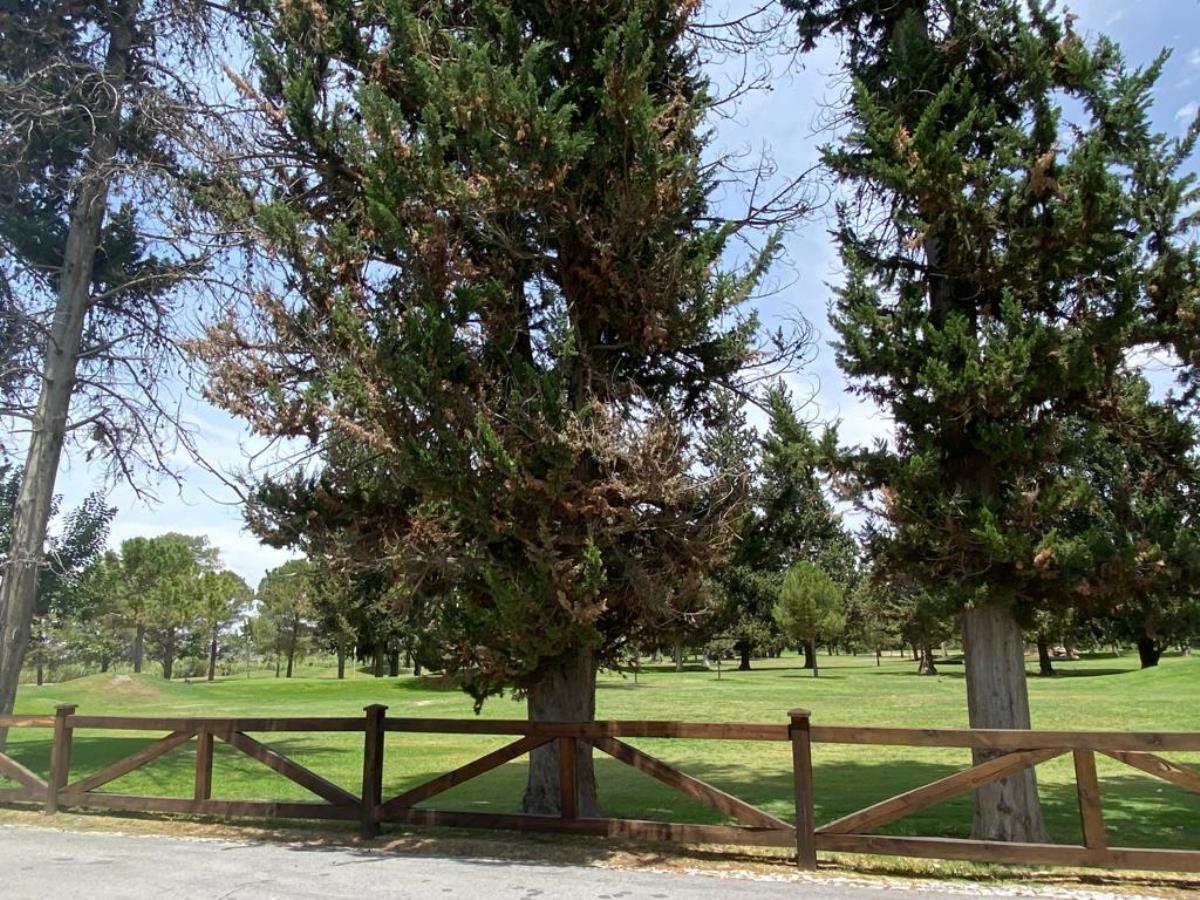 Terreno en Venta en Rincon del Montero