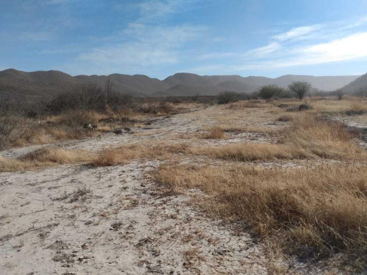 Terreno en Venta en Parras de la Fuente Centro