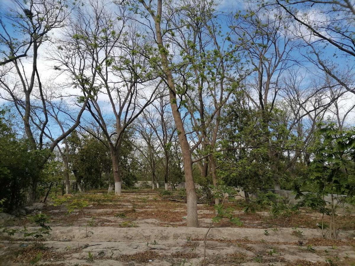 Terreno en Venta en Parras de la Fuente Centro