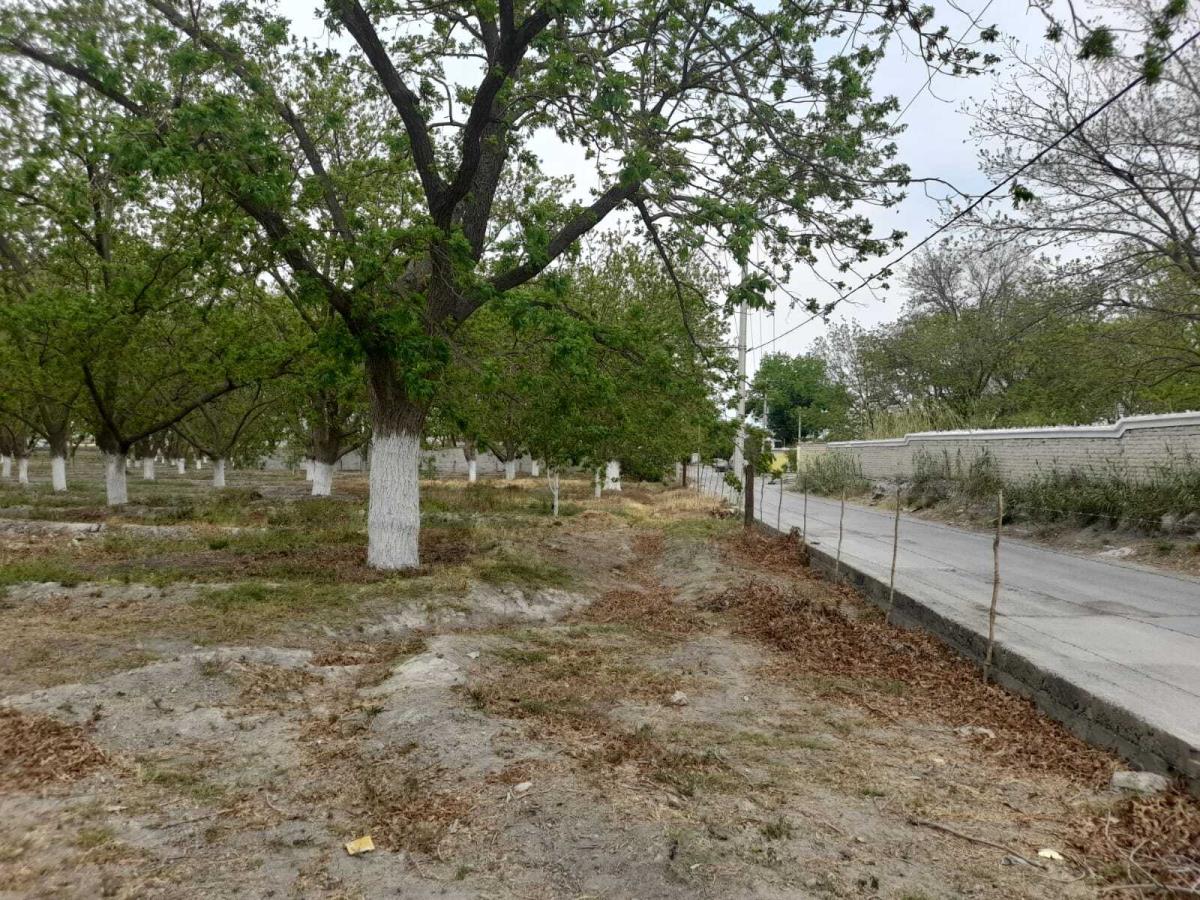 Terreno en Venta en Parras de la Fuente Centro