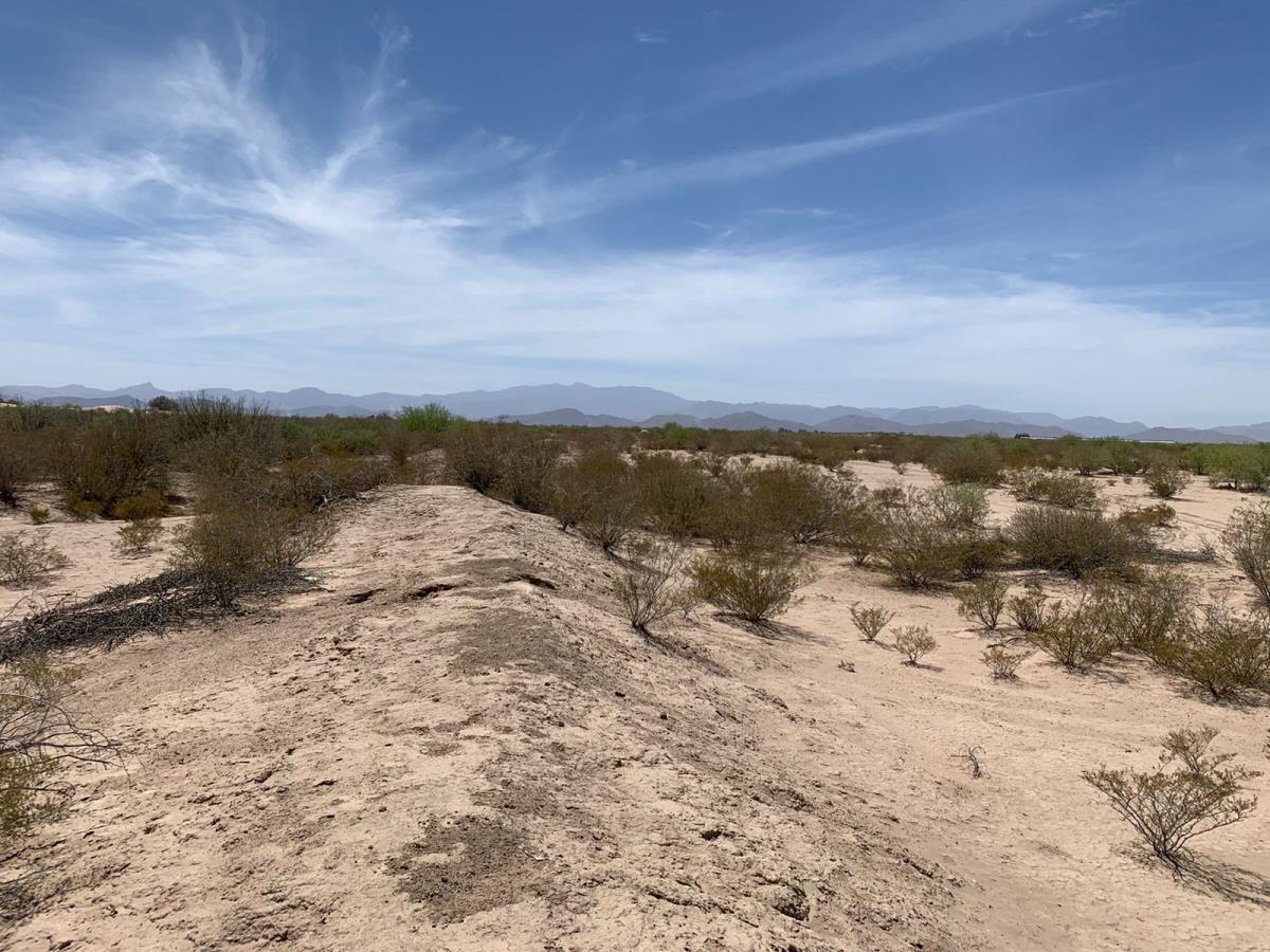 Terreno en Venta en Entronque Congregación Hidalgo