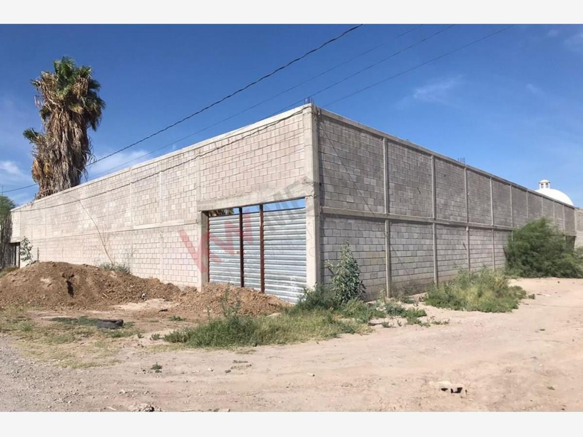 Terreno en Renta en Ejido San Miguel
