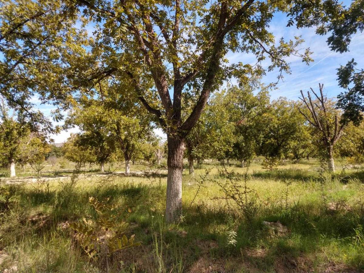 Terreno en Venta en Parras