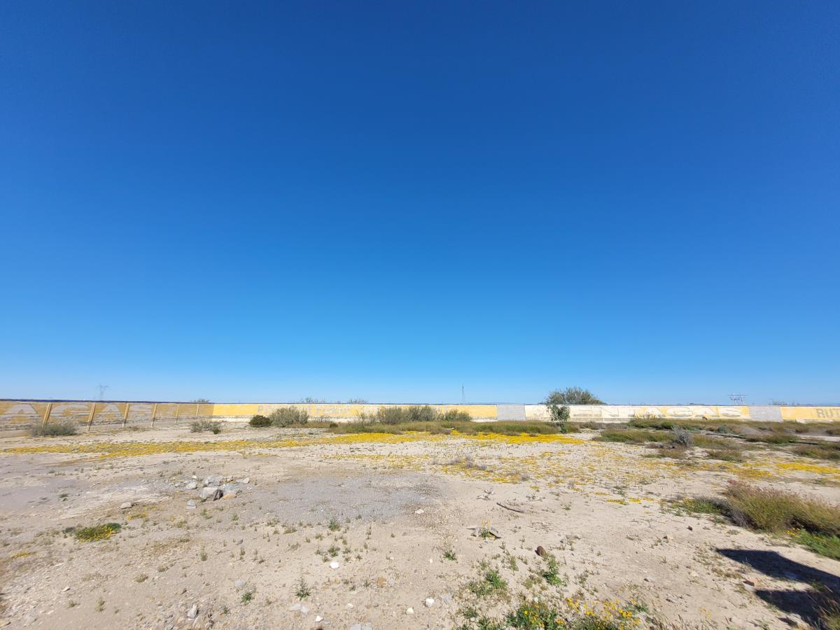 Terreno en Venta en Parras de la Fuente Centro