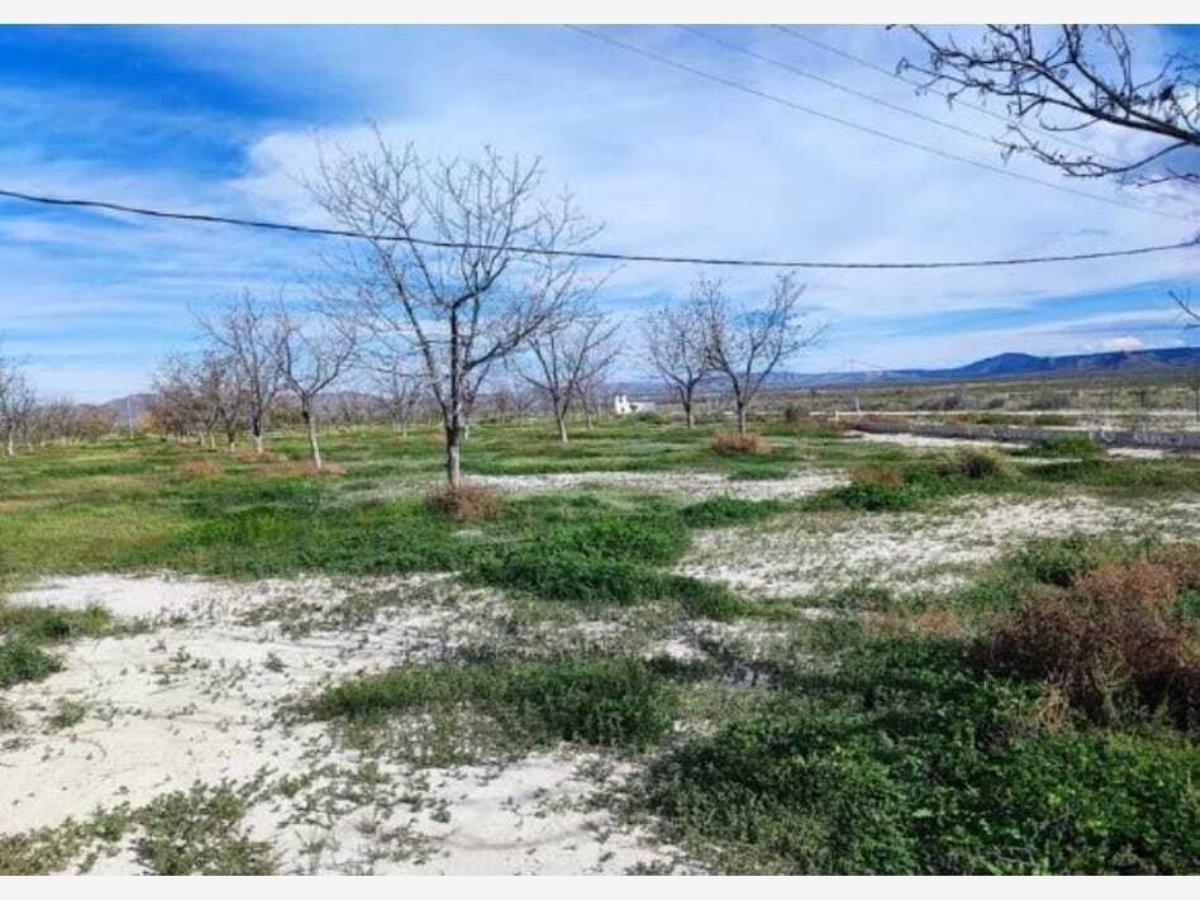 Terreno en Venta en Parras de la Fuente Centro