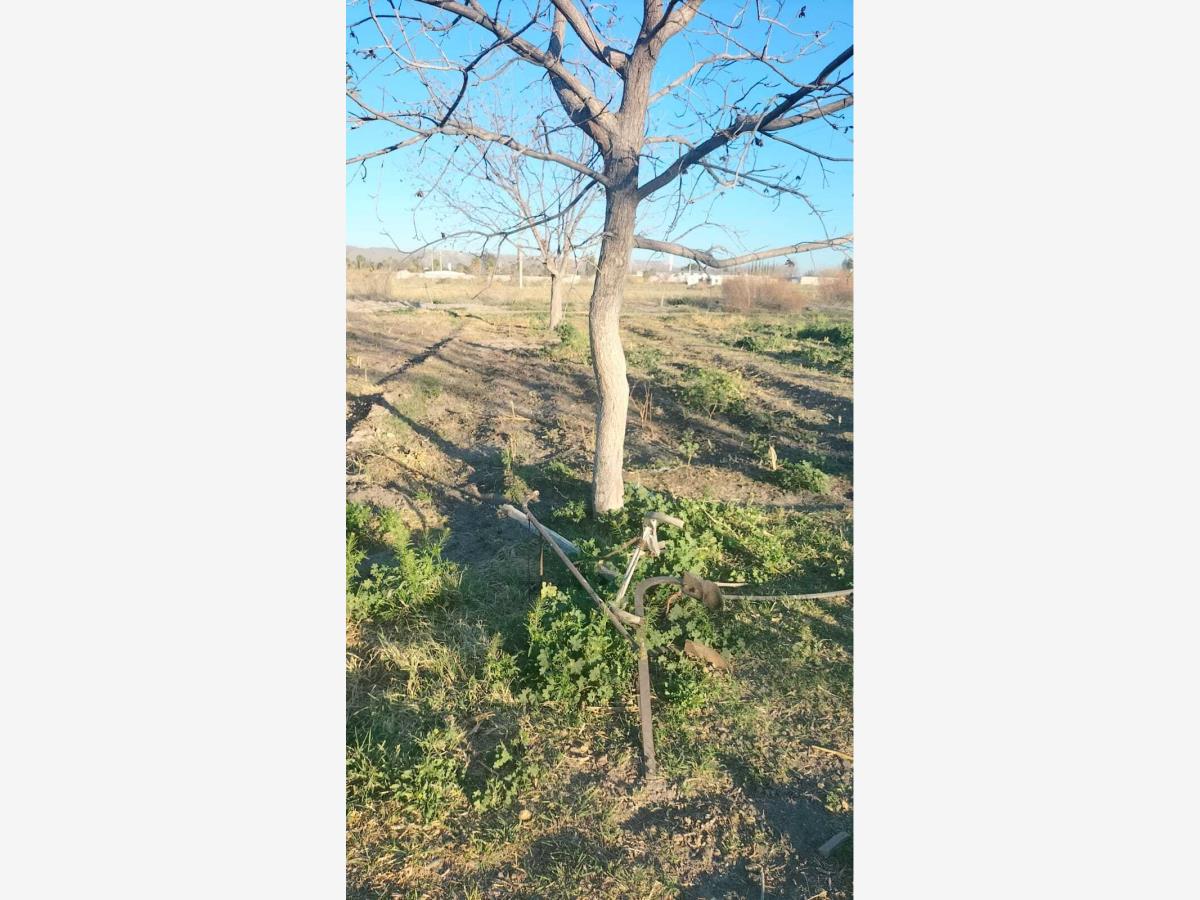 Terreno en Venta en Las Palmeras