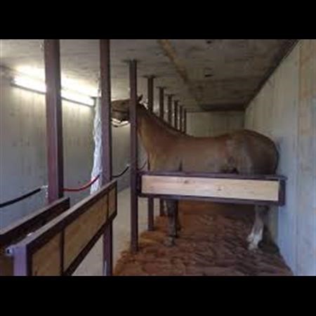 Tornado Shelters Midlothian TX