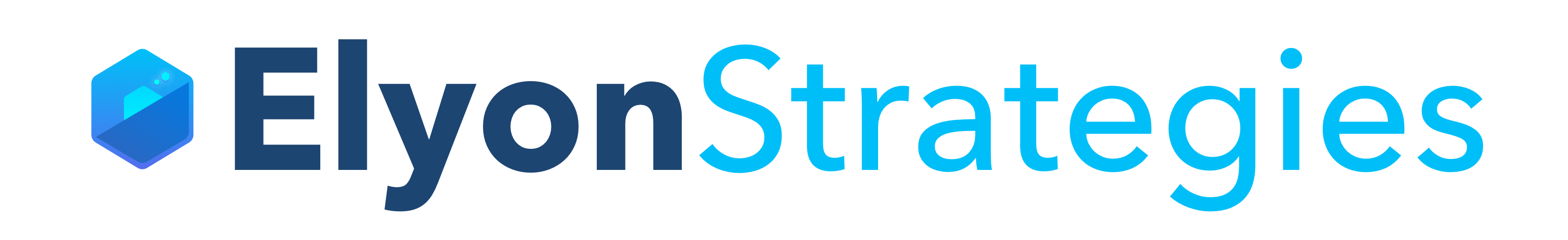 Elyon Enterprise Strategies, Inc. logo