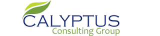 Calyptus Consulting Group, Inc. logo