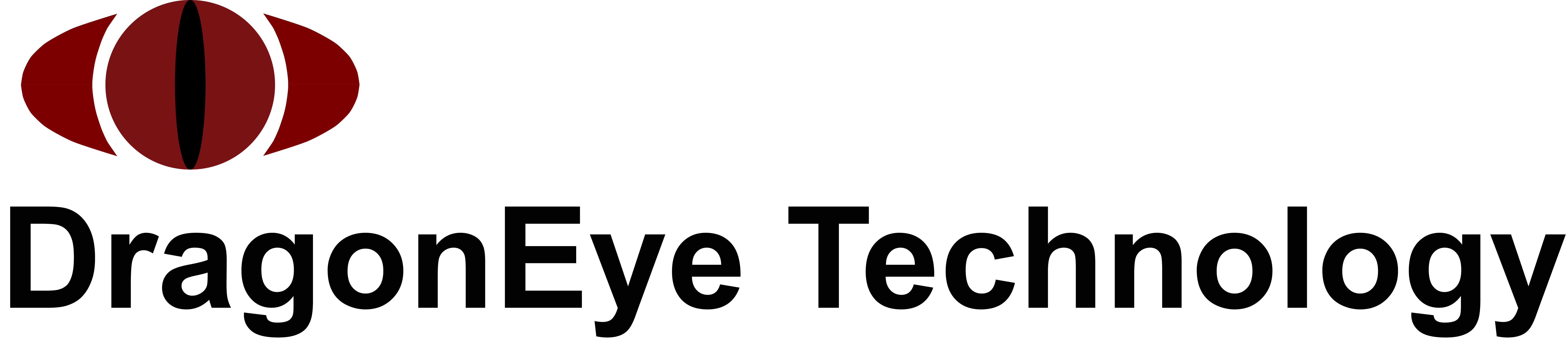 DragonEye Technology, LLC logo