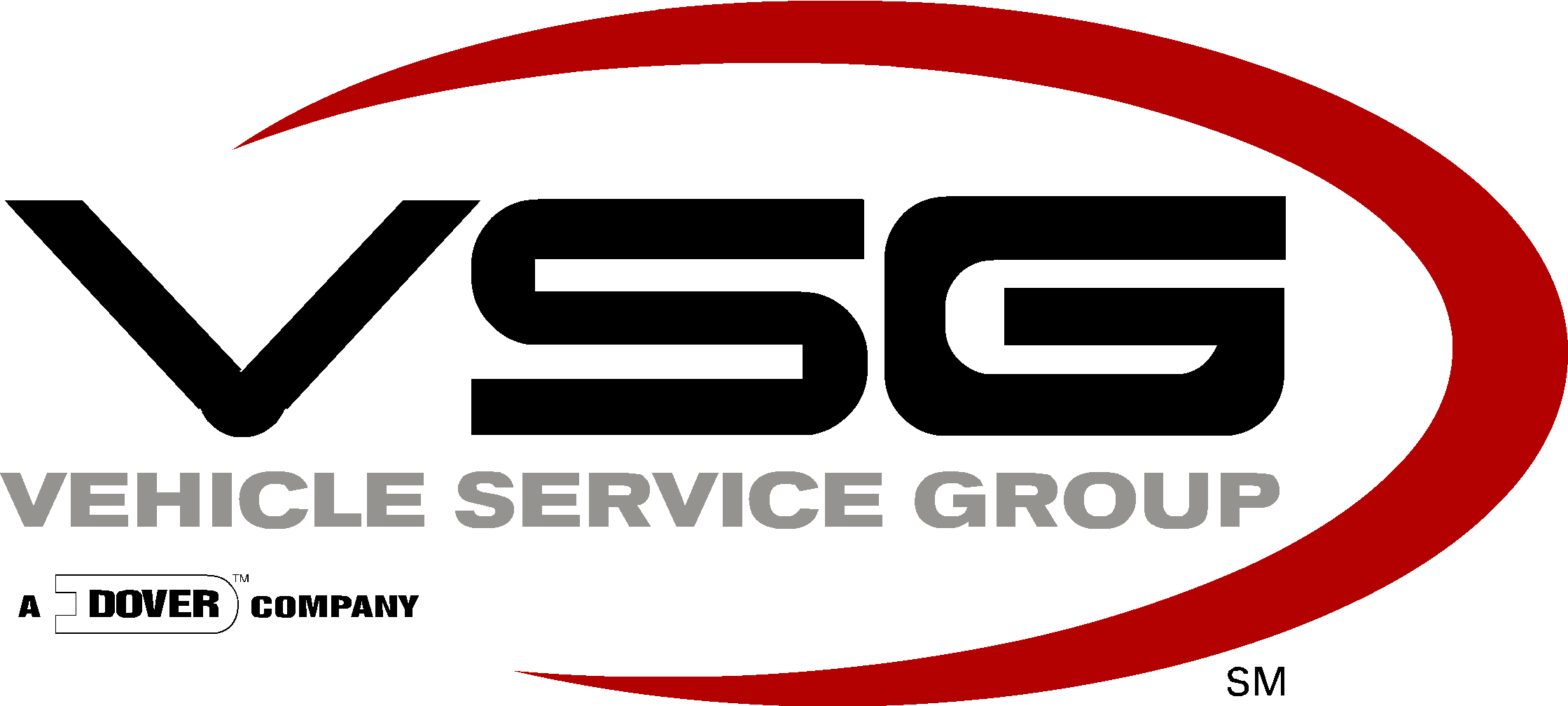 Vehicle Service Group, LLC logo