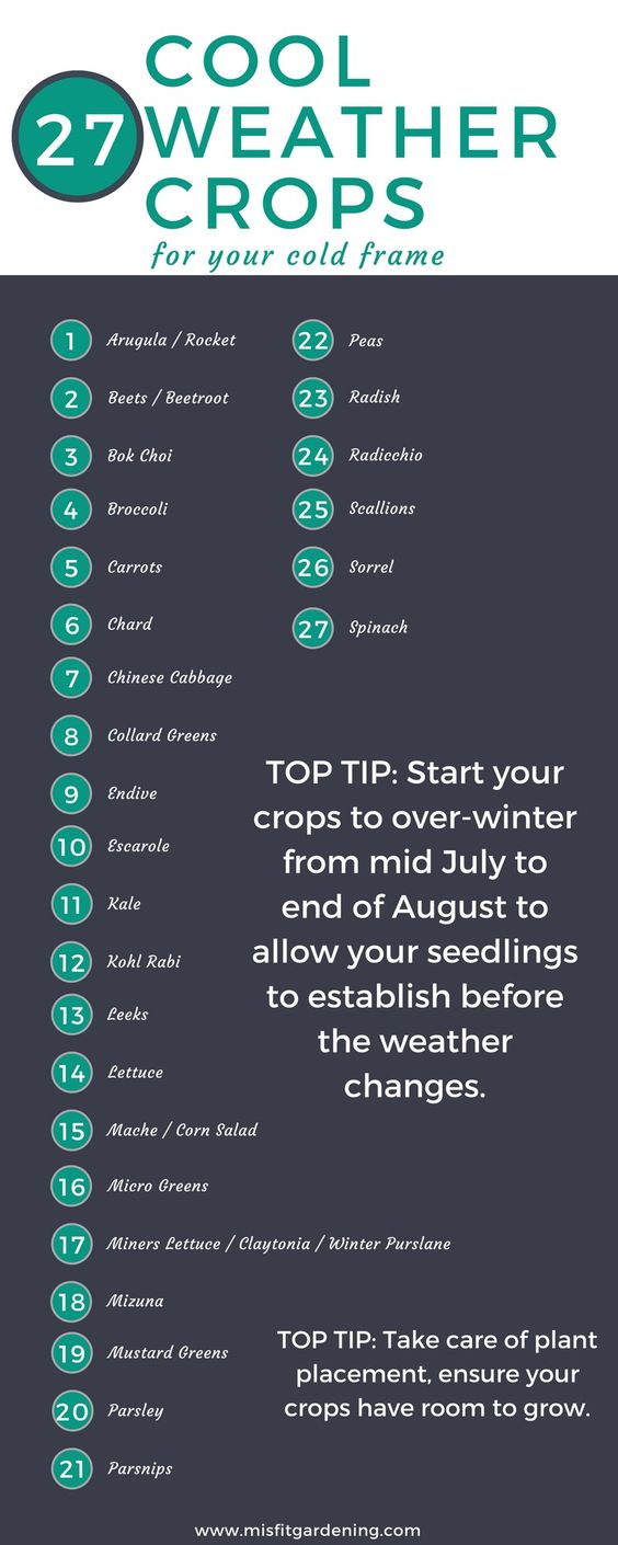 27 Cool Weather Crops