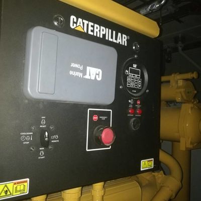 Caterpillar 21