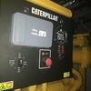 Caterpillar 21