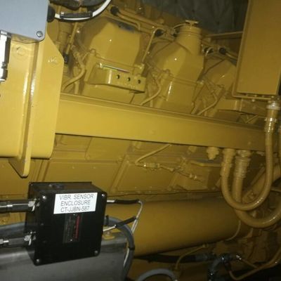 Caterpillar 28