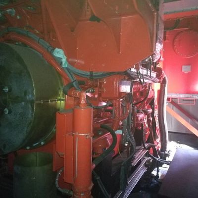 Caterpillar 20