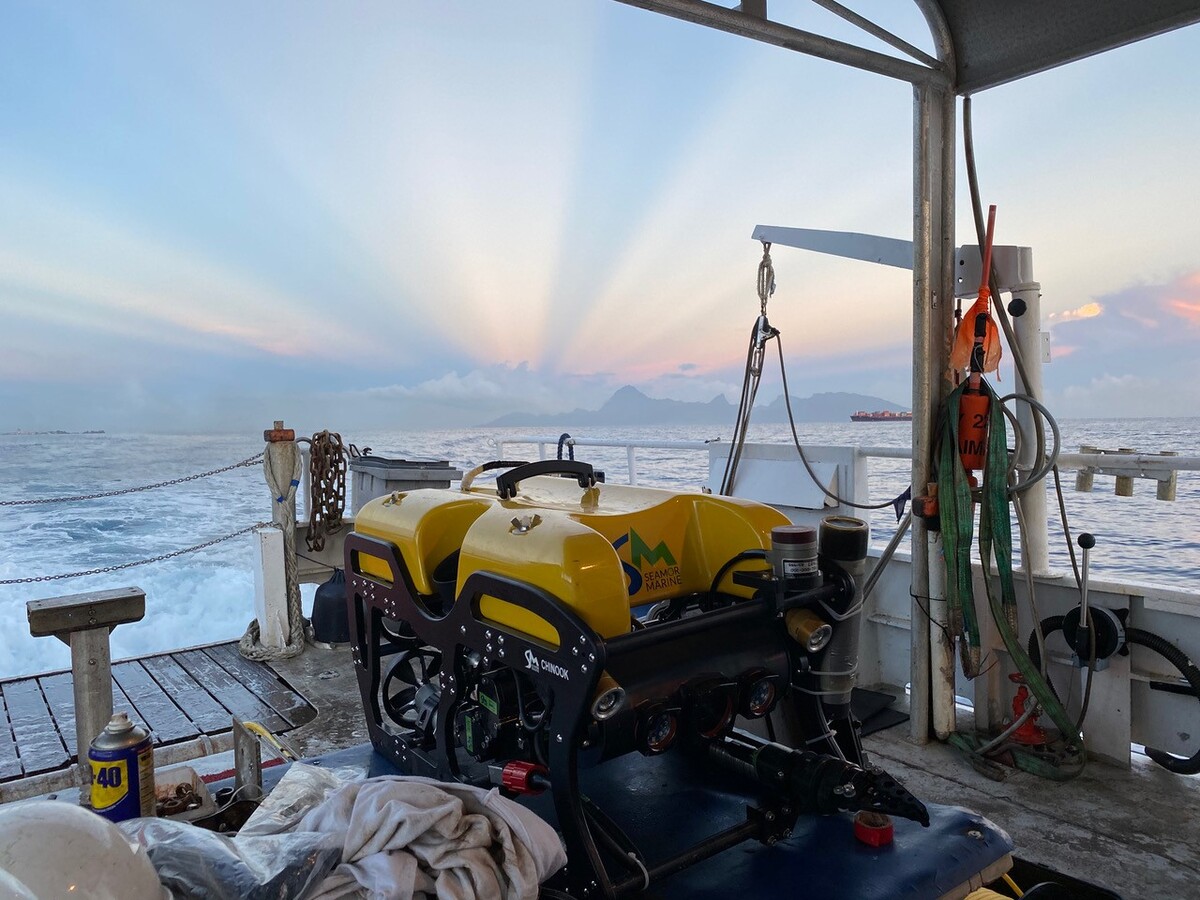 4308-seamor-chinook-obs-rov_14