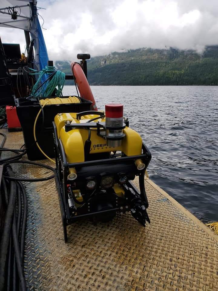 4308-seamor-chinook-obs-rov_12