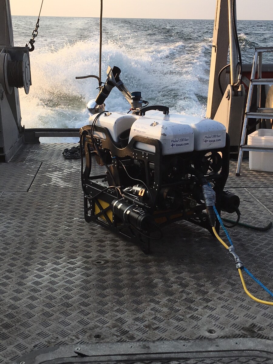 4308-seamor-chinook-obs-rov_8