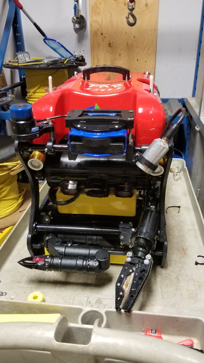 4308-seamor-chinook-obs-rov_7