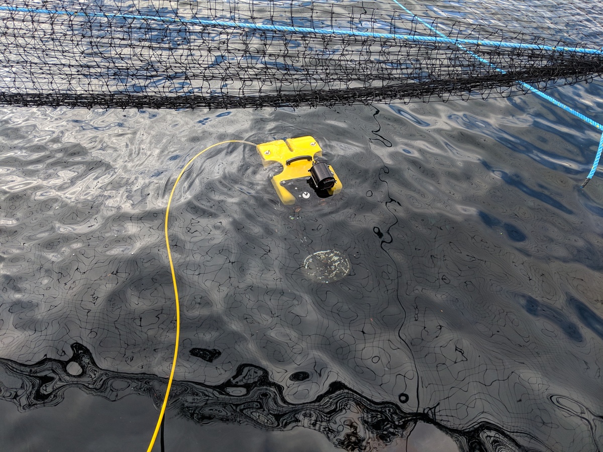 4310-seamor-steelhead-rov_4