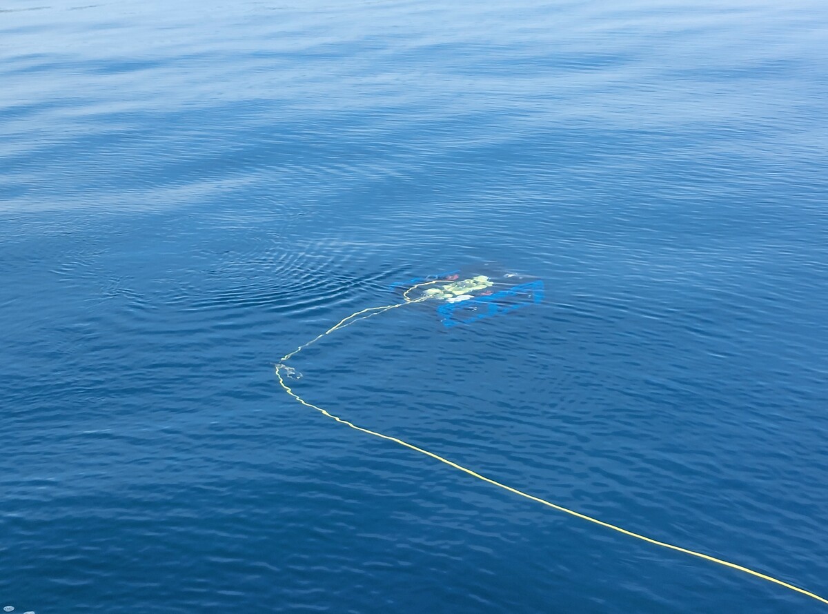 4215-alpharov-prof-d500_3