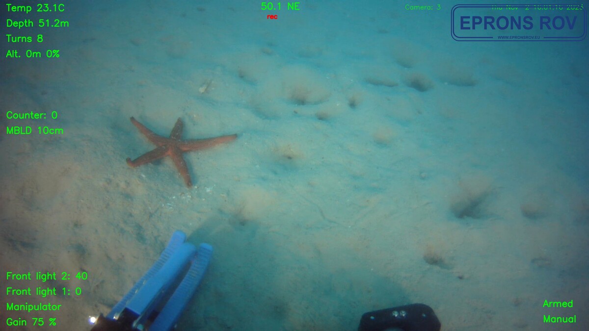 4215-alpharov-prof-d500_5