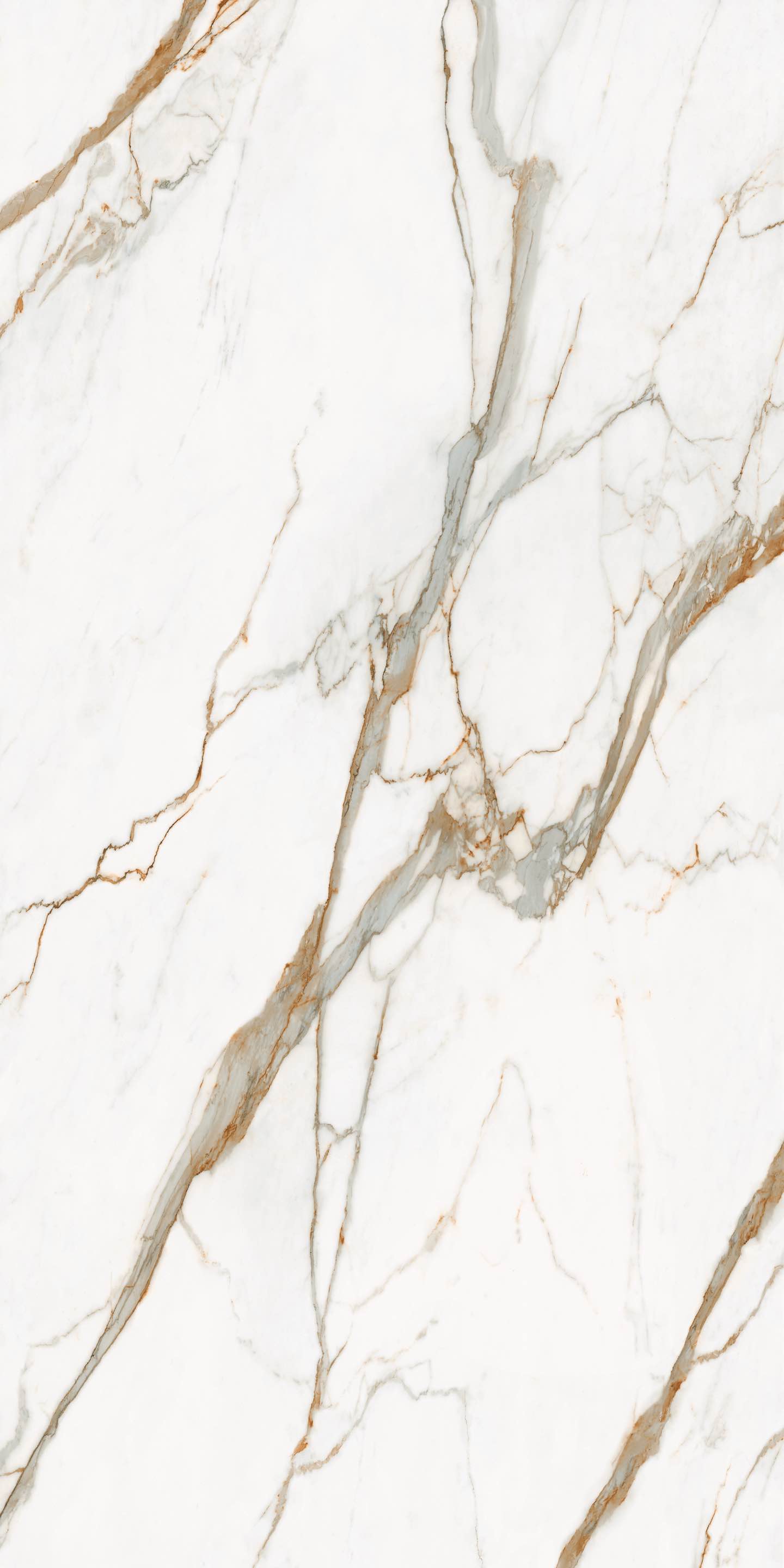 Viana Macchia Vecchia Porcelain slab