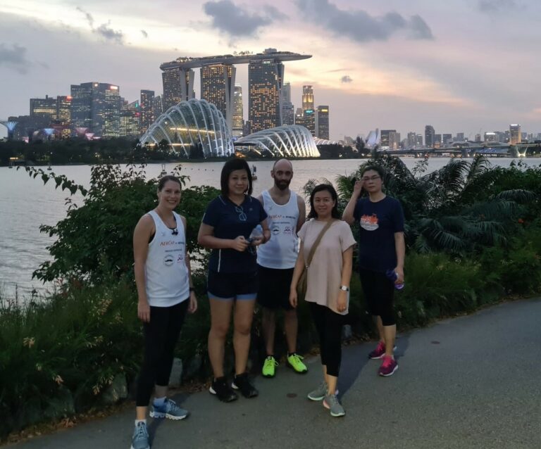 Aer Cap SG Walk Team 5