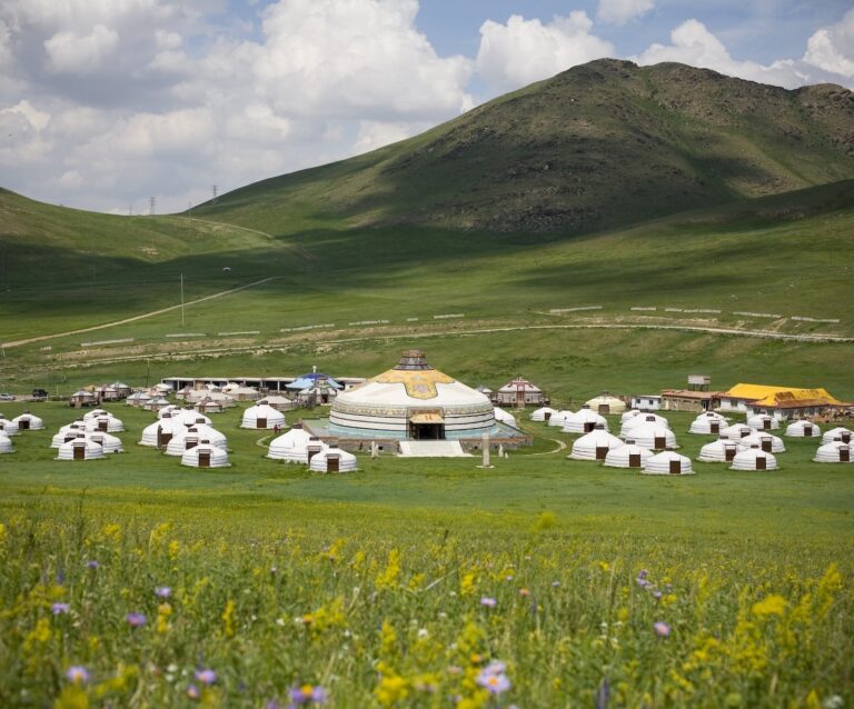 ORBIS Mongolia BUGBEE 067