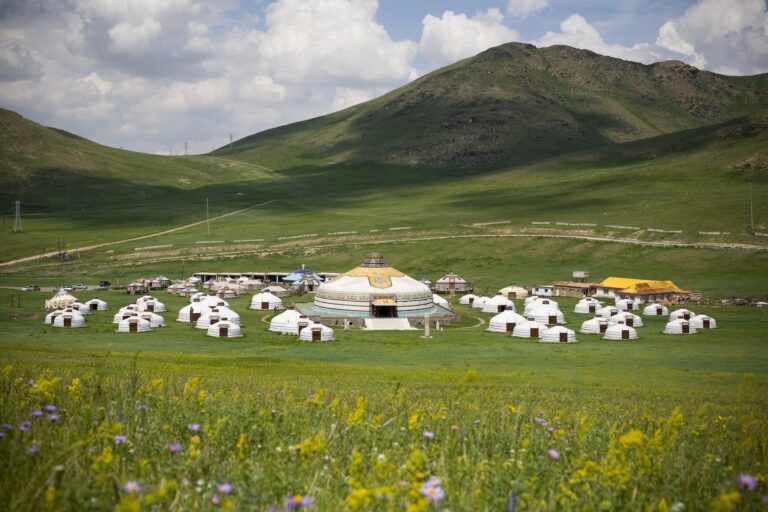 ORBIS Mongolia BUGBEE 067