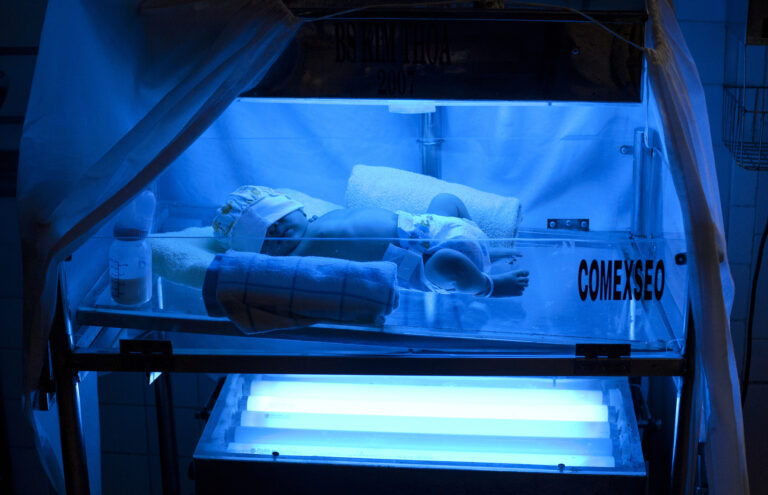 05 BUGBEE Vietnam 2010