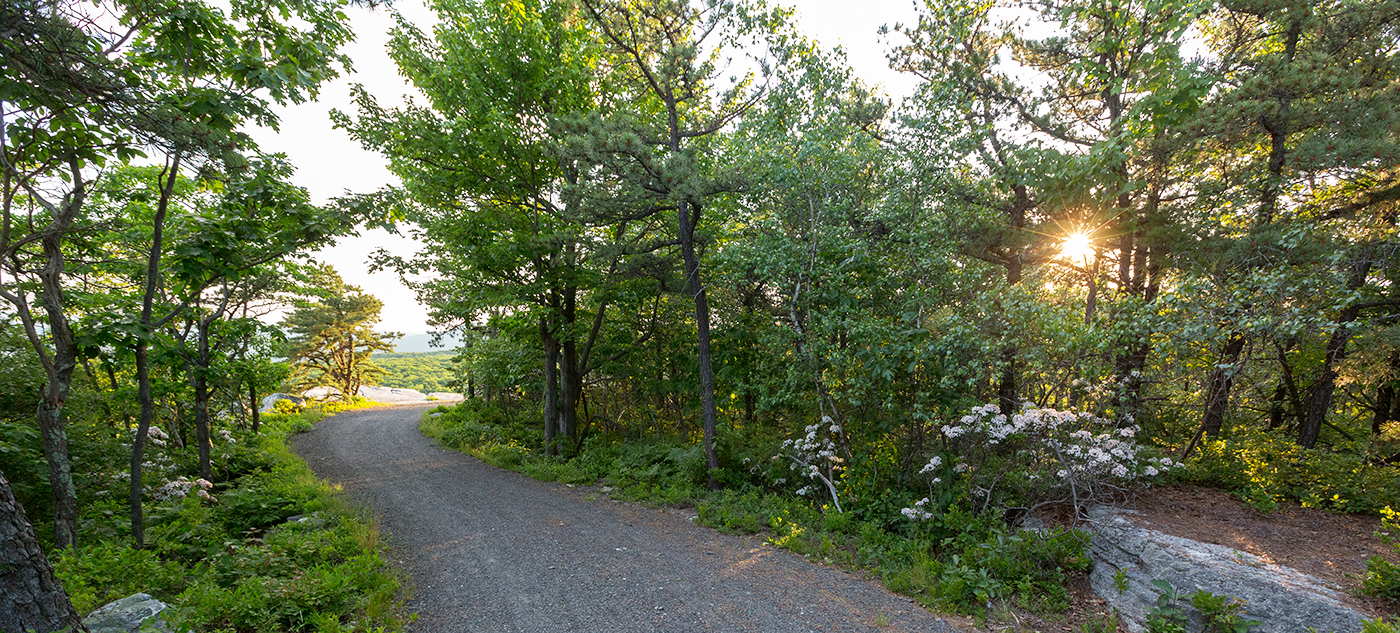 OSI restored the Hamilton Point Carriage Road in Minnewaska State Park.