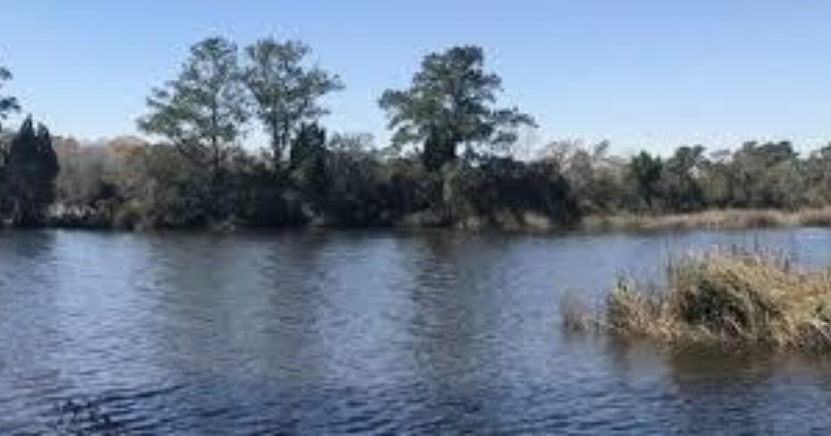 King's GrantWestEdge Open Space Institute