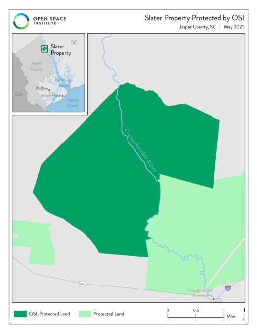 Open Space Institute Acquires 3,800 Acres of Forestland in Jasper