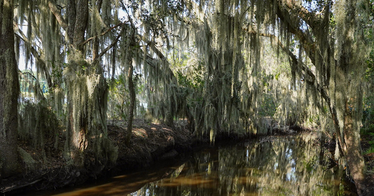 OSI Secures Vital Link between Major Watersheds (2023) Open Space