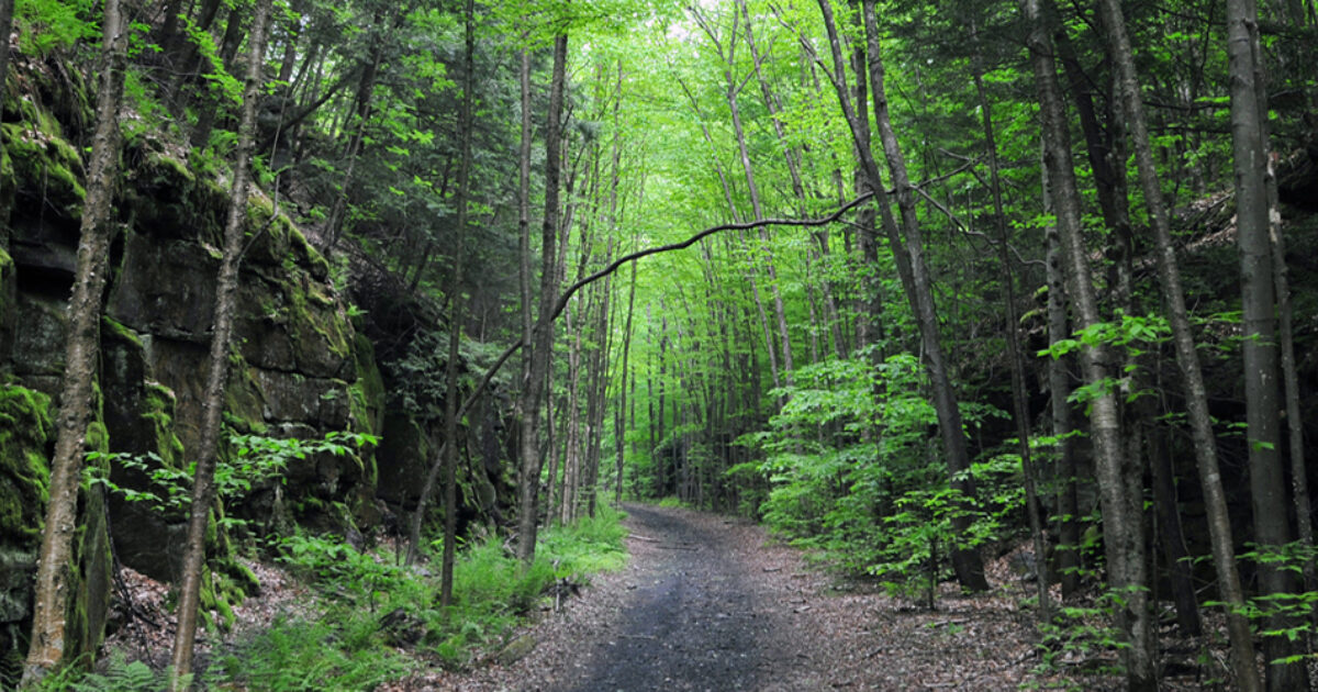Conservation of Hurleyville Rail Trail and Catskills Farm Open Space
