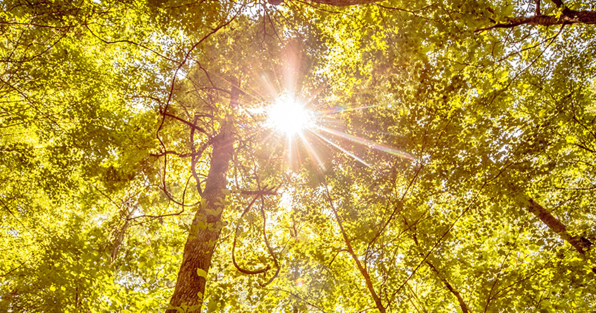 LongAwaited Paint Rock River National Wildlife Refuge Coming to