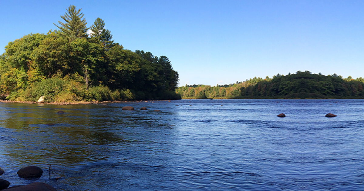 OSI Donates Mill Creek Preserve and Sullivan’s Island to Town of