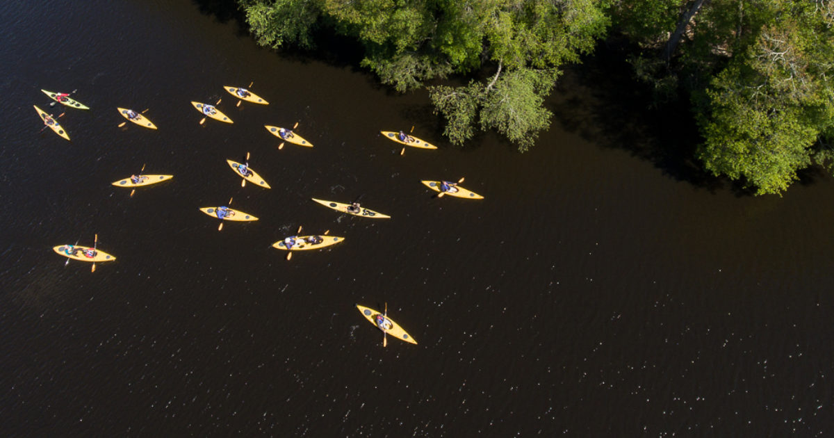 Connecting to South Carolina's Black River Open Space Institute (enUS)