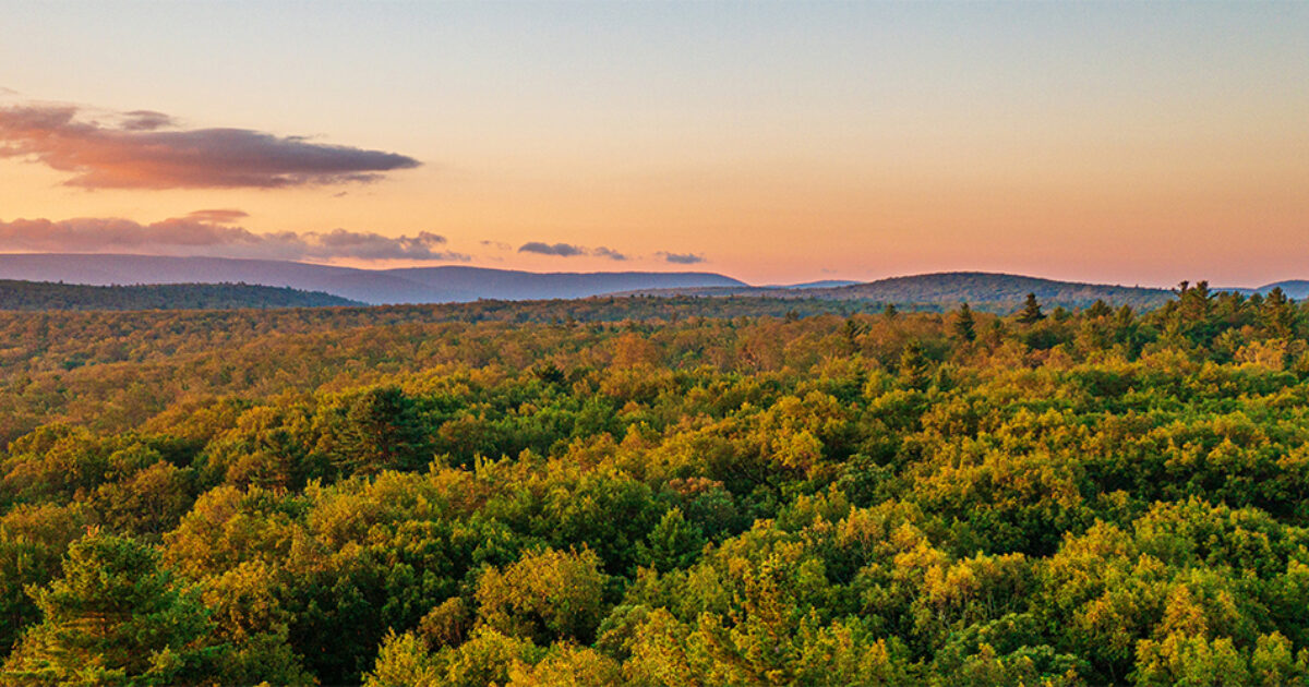 OSI Acquires More than a Thousand Acres of Forested Property in the